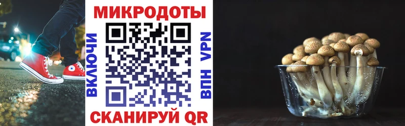 Псилоцибиновые грибы GOLDEN TEACHER  Шацк 